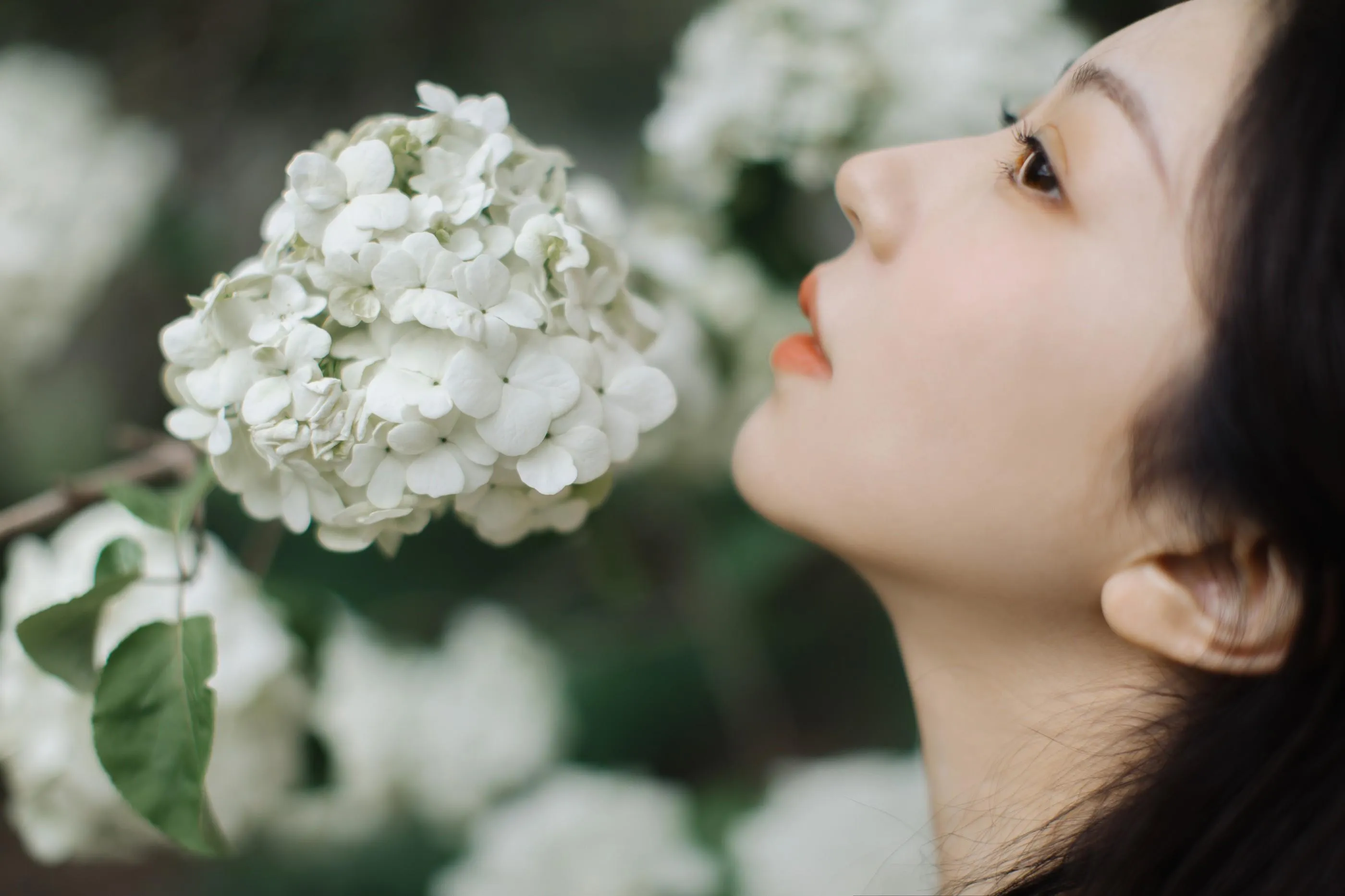 [YITUYU艺图语]2021.12.31 绣球花开 小tom [22P]插图5